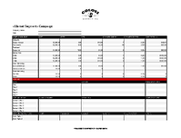 Sample Campaign Plan
