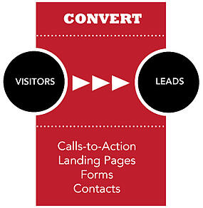 Website Visitor Conversion